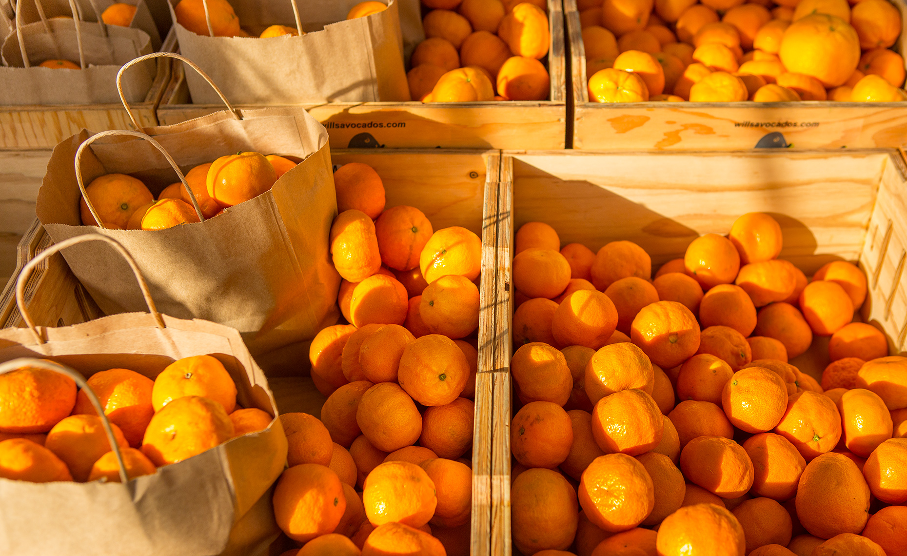 SFOfarmersmarket7